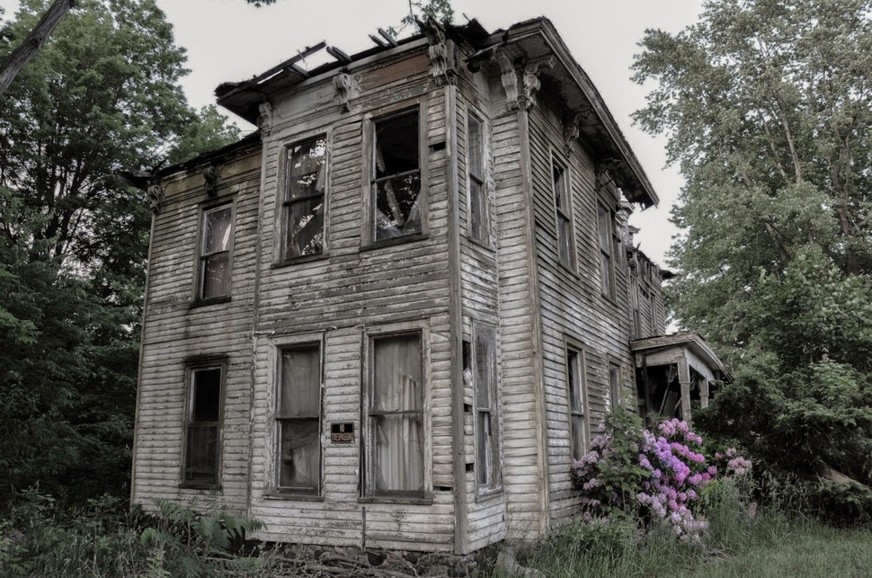 Buffalo New%2BYork rooteto